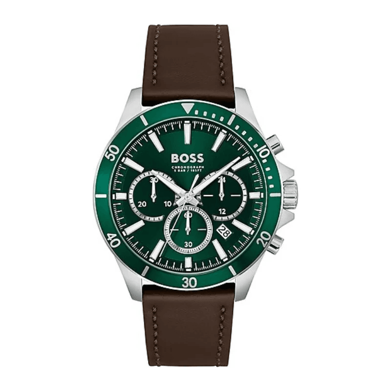 Hugo Boss HB1514098